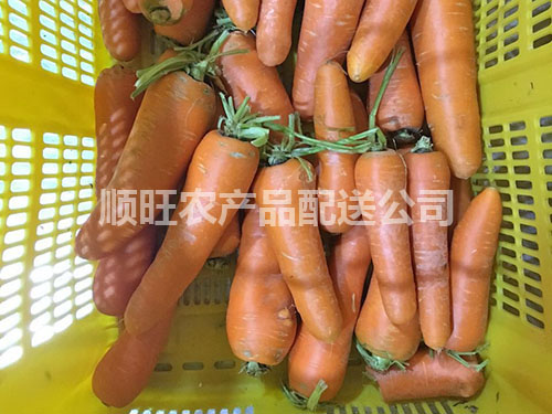 惠州蔬菜配送胡萝卜主要的营养价值是哪些？
